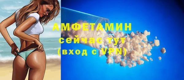 прущие грибы Михайловка