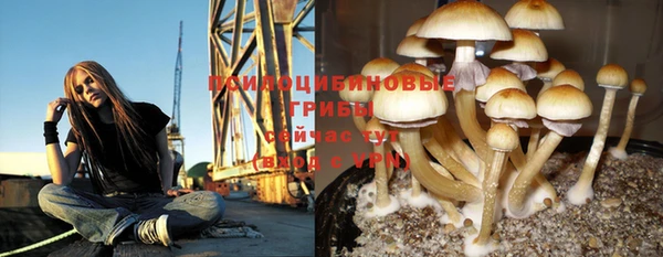 MDMA Михайловск