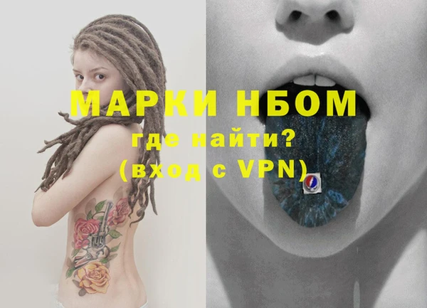 прущие грибы Михайловка