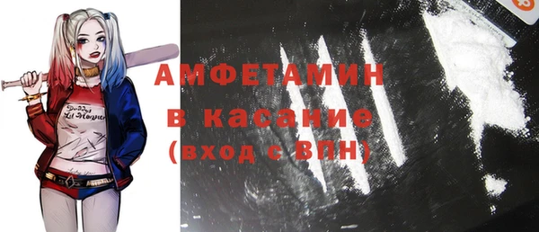 прущие грибы Михайловка